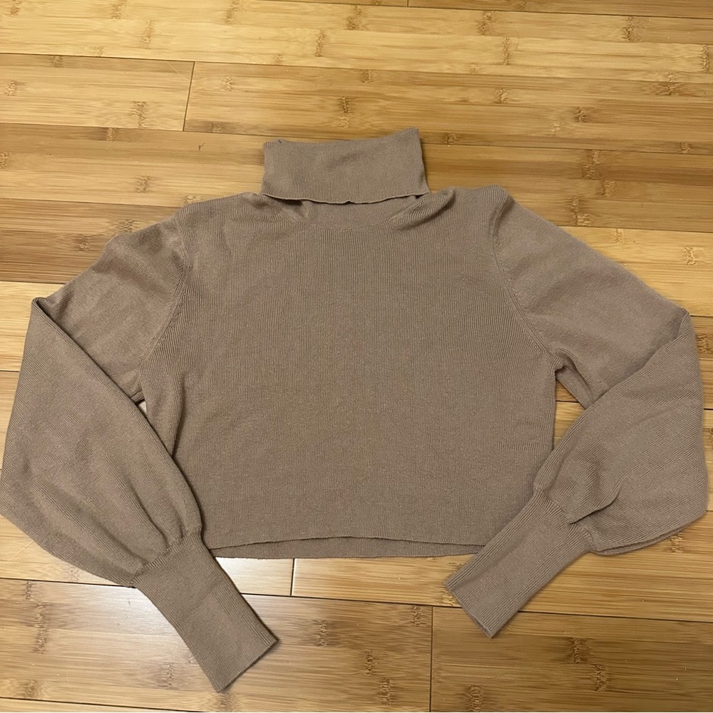 Aritzia turtleneck